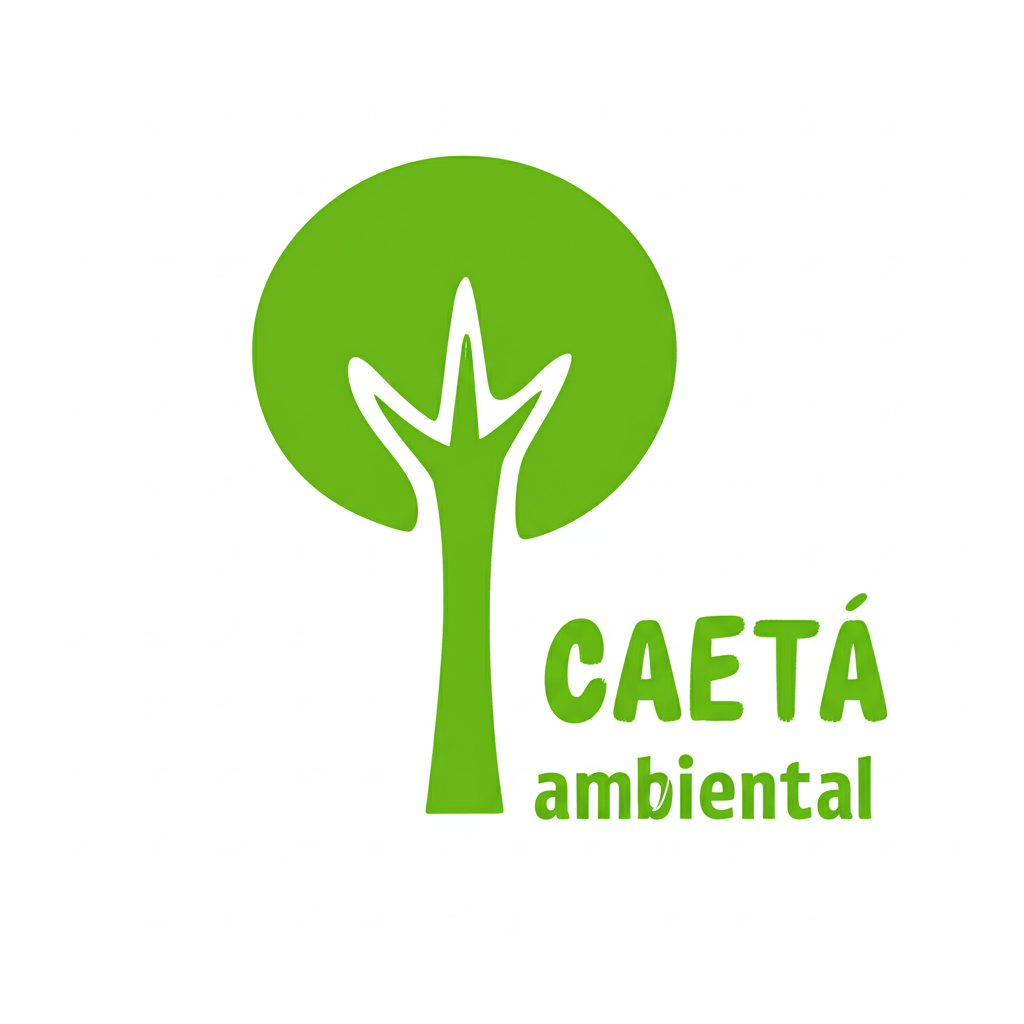 EDMILSON DE JESUS TEIXEIRA